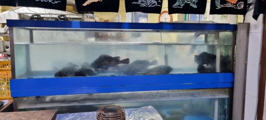 싱싱바다횟집 송어횟집 사진 2