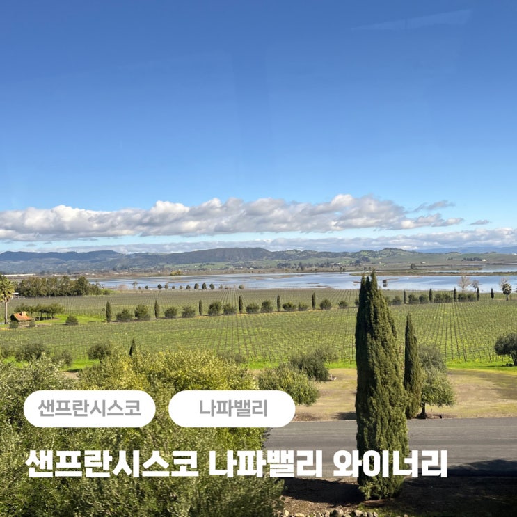  미국 샌프란시스코 자유여행 나파밸리 와이너리 투어 추천
