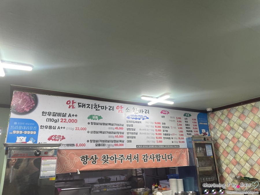 암돼지한마리 암소한마리 사진 2