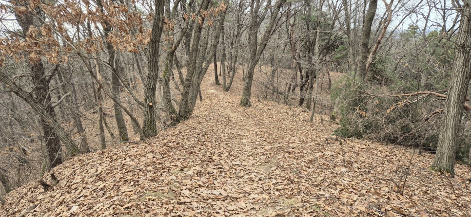 갱터산 사진 3