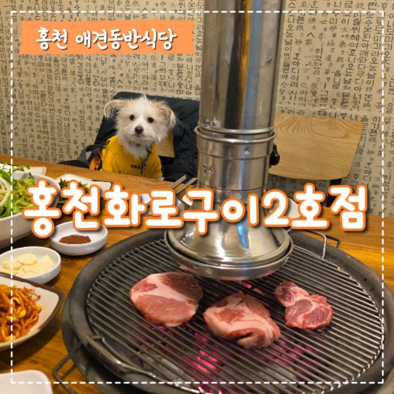 홍천 애견동반식당 비발디파크 근처 왕소금구이 맛집 홍천화로구이2호점