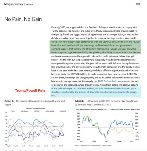  Morgan Stanley의 2025년 시장 전망 No pain No gain