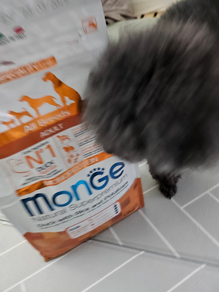  [강아지] 몬지 모노프로틴 올브리드 사료 후기
