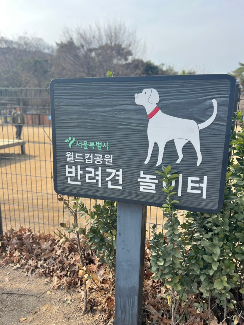 사진 4