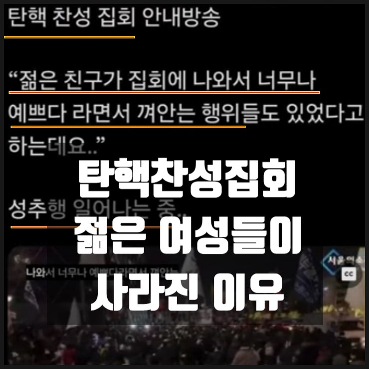탄핵찬성집회 젊은여성 사라진 이유 성범죄 그리고 좌파 민주당 성범죄 성추문 논란 내역 탄핵찬성집회 젊은여성 사라진 이유 성범죄 그리고 좌파 민주당 성범죄 성추문 논란 내역