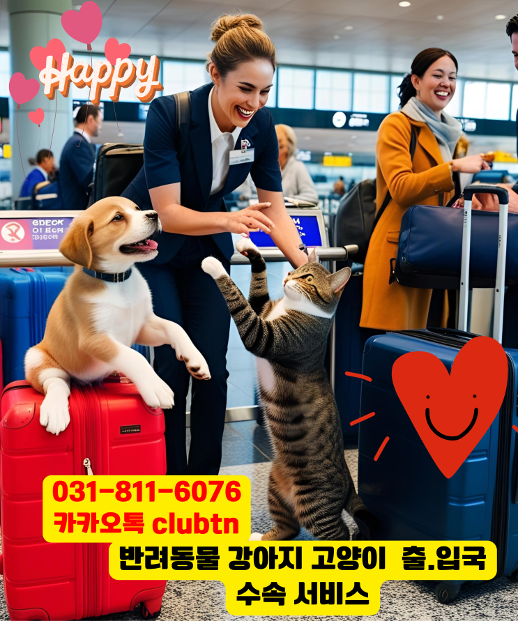  반려동물 강아지 고양이 해외 운송 카고 핸드캐리 검역 출국 서류 서비스 [강아지 고양이 해외 출 입국 에이전시 서비스]