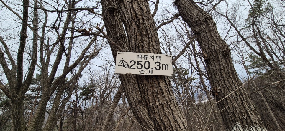 갱터산 사진 6