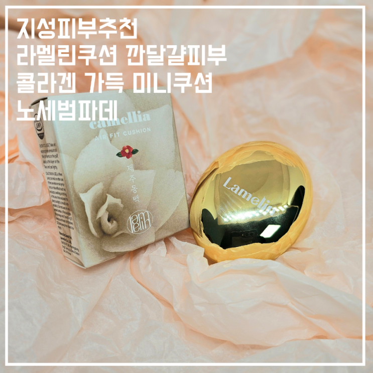  라멜린쿠션 노세범파데 지성피부추천