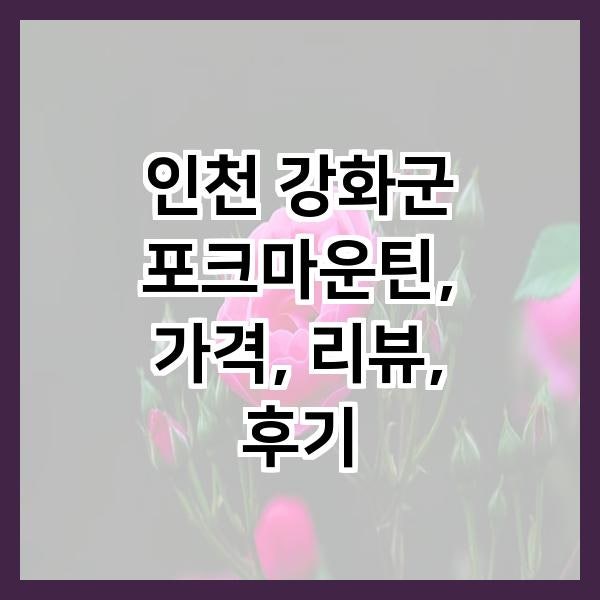 사진 3
