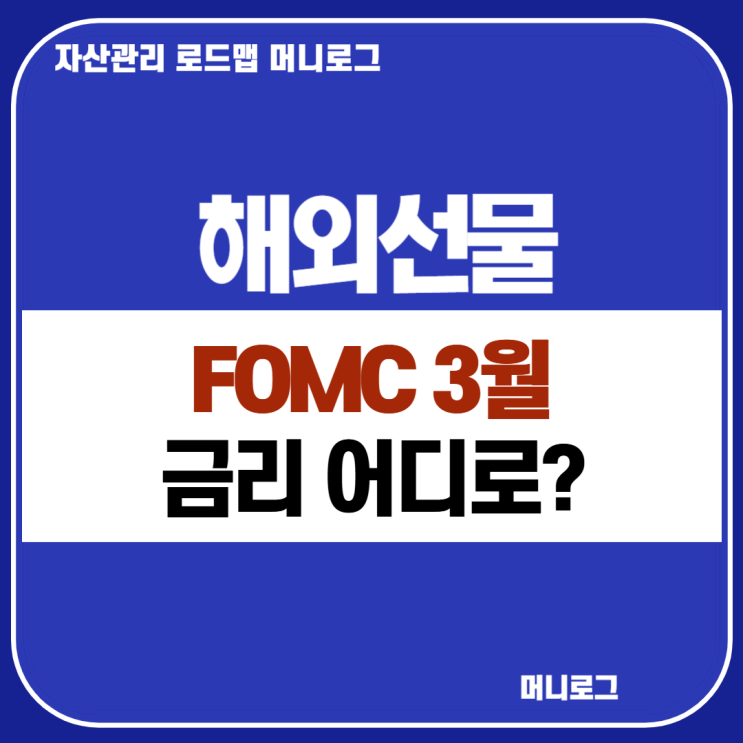  FOMC 3월 발표 CPI PPI 둔화 금리 전망  트럼프 변수 해외선물 레버리지 투자법