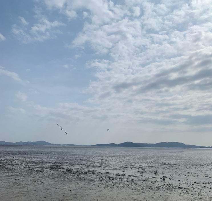  무작정