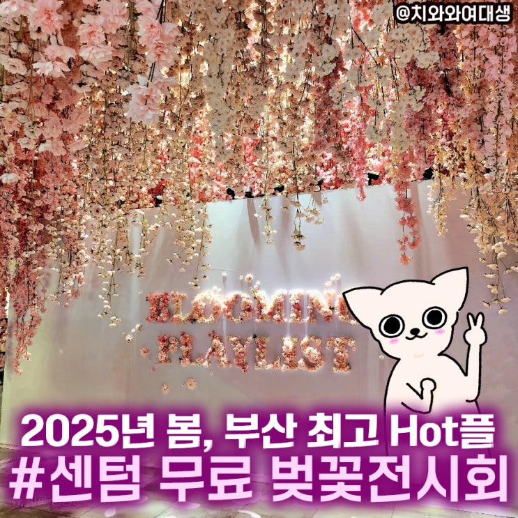  센텀 신세계 벚꽃 무료 전시회 해운대가볼만한곳 꿀팁 블루밍플레이리스트
