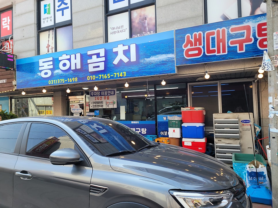 동해곰치 사진 2