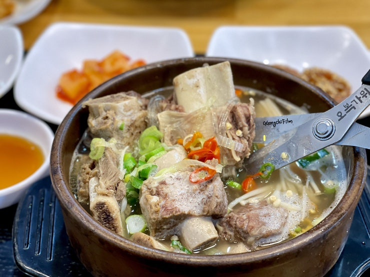 돗꽈비 지평원점 사진 5