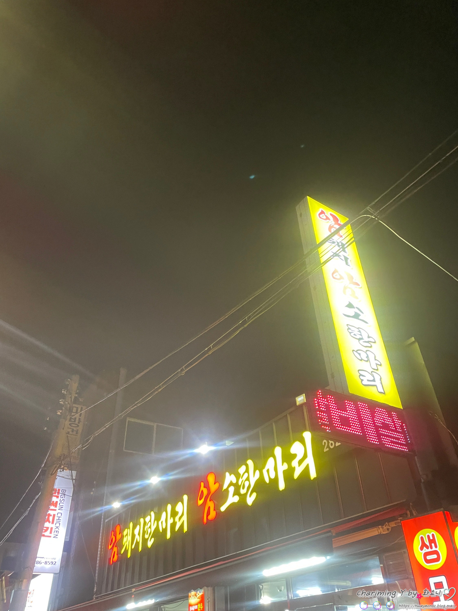 암돼지한마리 암소한마리 사진 1