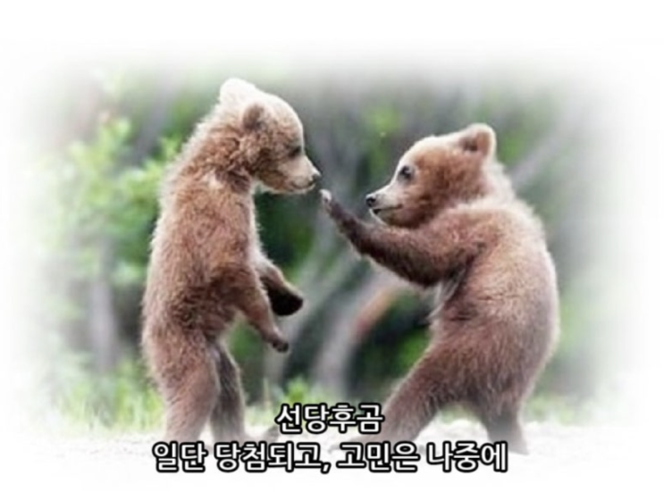  로또줍줍! 힐스테이트 광교중앙역 퍼스트 청약 완벽 정리