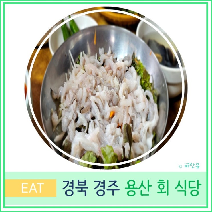  경주 용산 회 식당 현지인 맛집 회덮밥 주말 웨이팅 주차