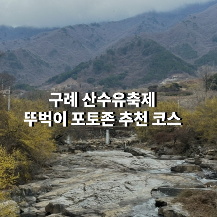  25년 구례 산수유축제 구례여행 뚜벅이 포토존 추천 코스