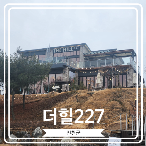  [더힐227] 애견동반이 가능하고 분위기가 너무 좋은 대형 충북혁신도시카페