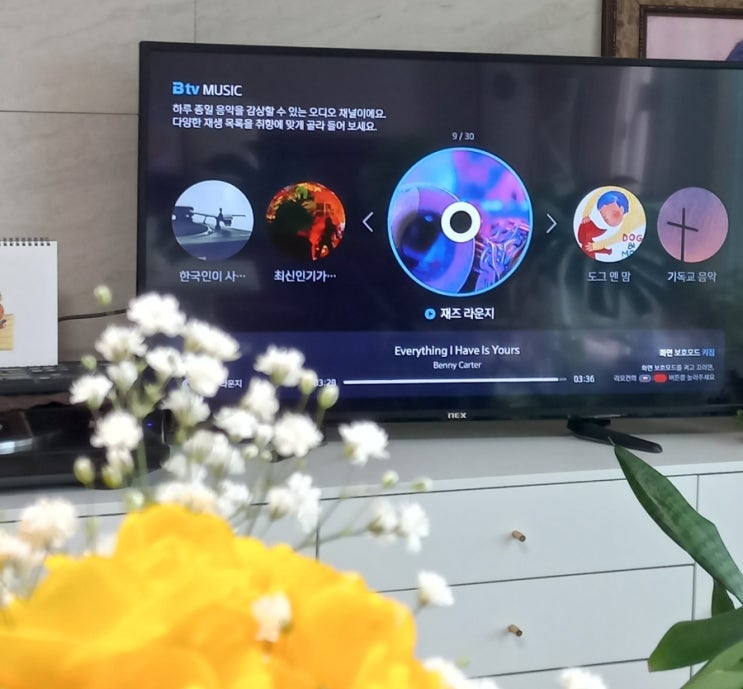  24 시간 들을수 있는 Btv 음악채널은? tvn story  번호