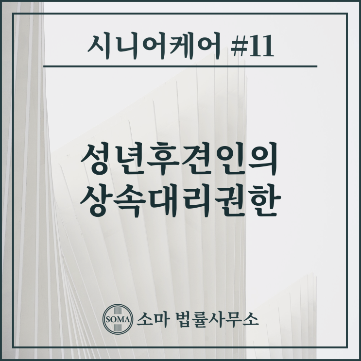  성년후견인의 상속대리권한