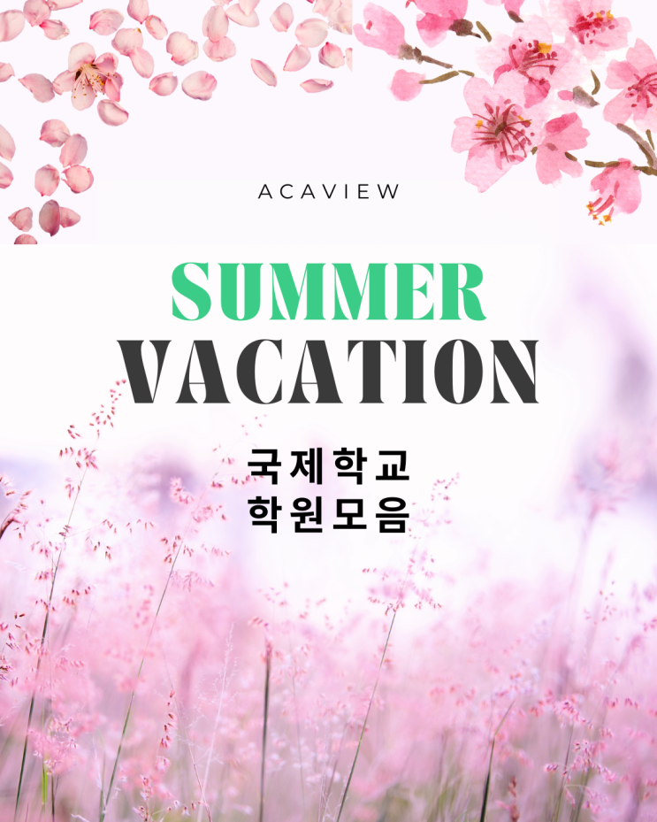  여름방학 특강 모음1 - 다이안영어학원 파레토프렙 에센셜아카데미 디레이블