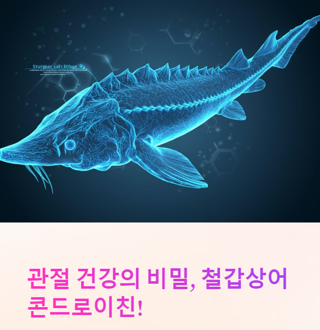  철갑상어 콘드로이친! 연골 건강에 좋은 이유와 효능 총정리