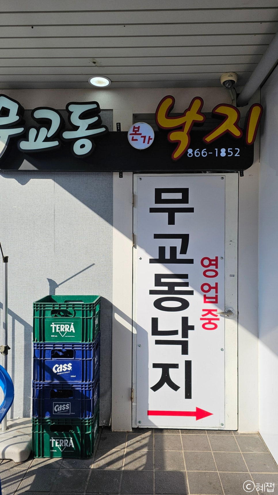 무교동본가낙지 사진 2