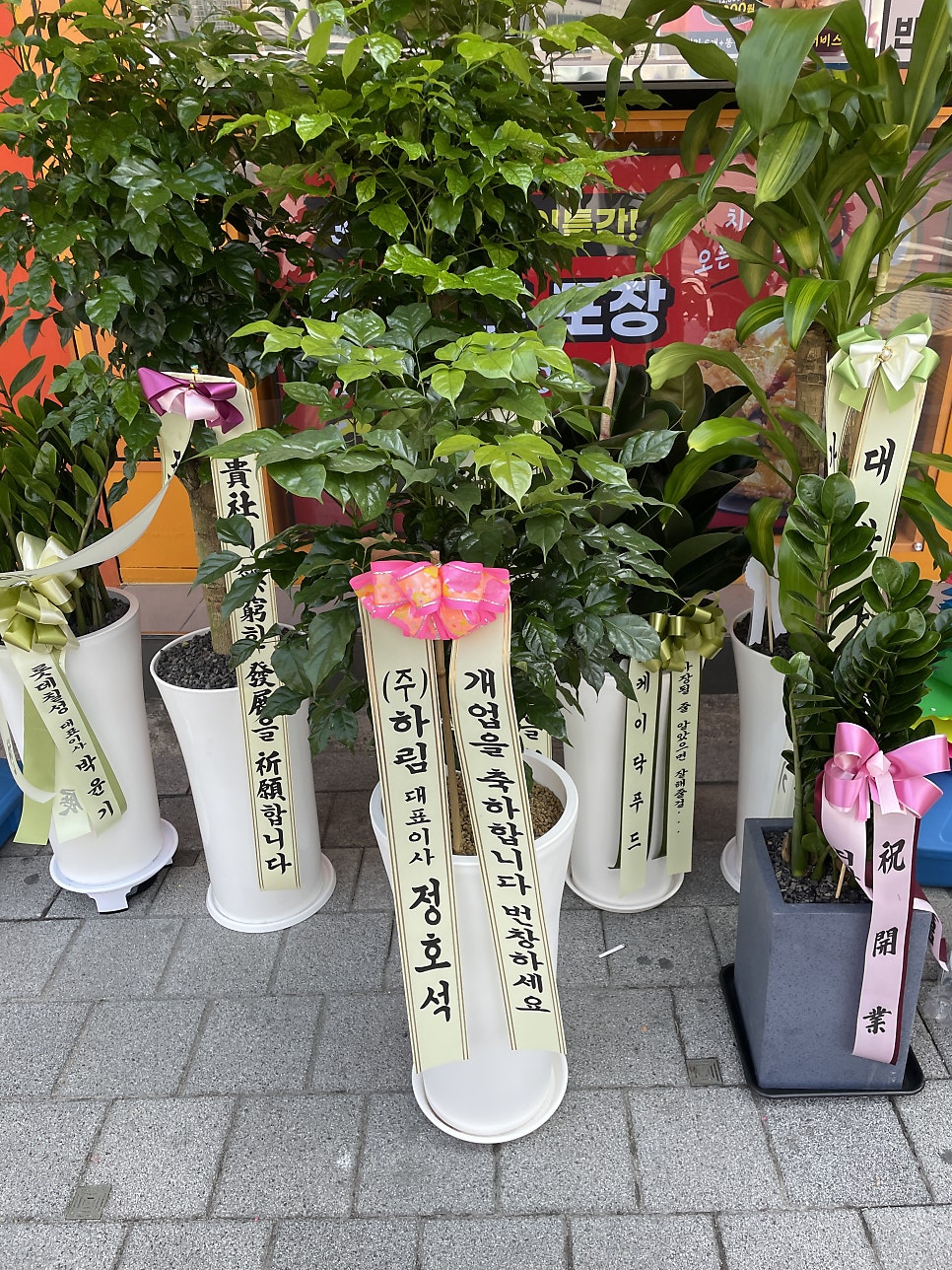 치킨부라더스 왕십리점 사진 4