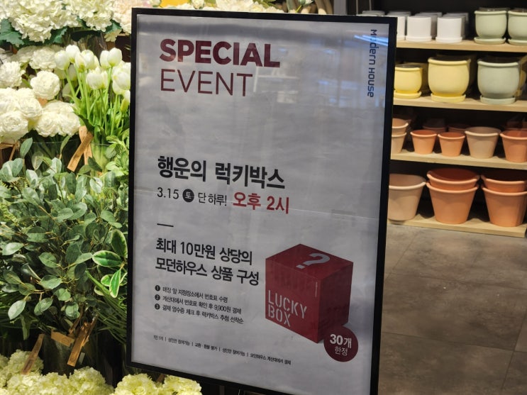  모던한 가구와 홈데코로 가득한 럭키박스 이벤트 - 한정수량 선착순 진행!