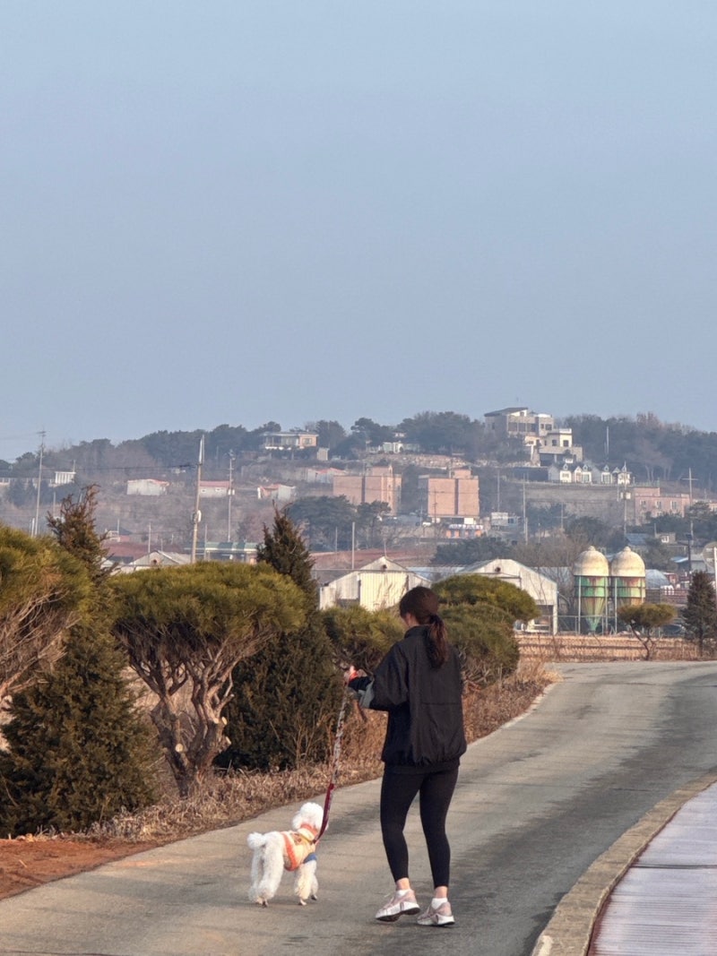사진 6