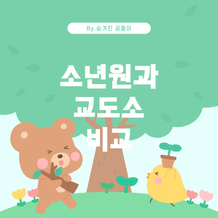  소년분류심사 위탁, 소년원, 소년교도소의 생활 비교