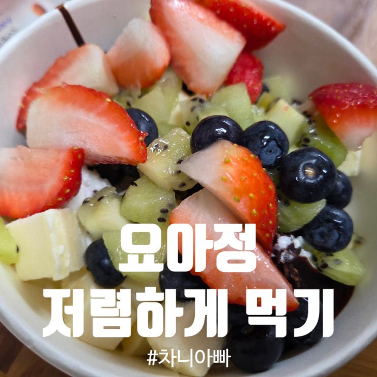  요거트 아이스크림 맛집 요아정 배달 저렴하게 먹기