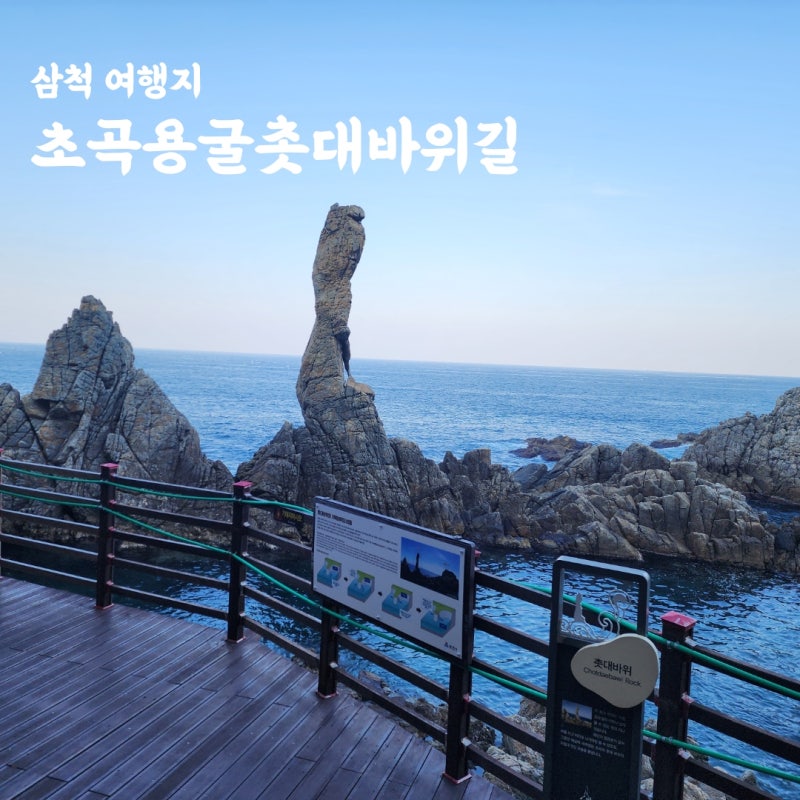 사진 2