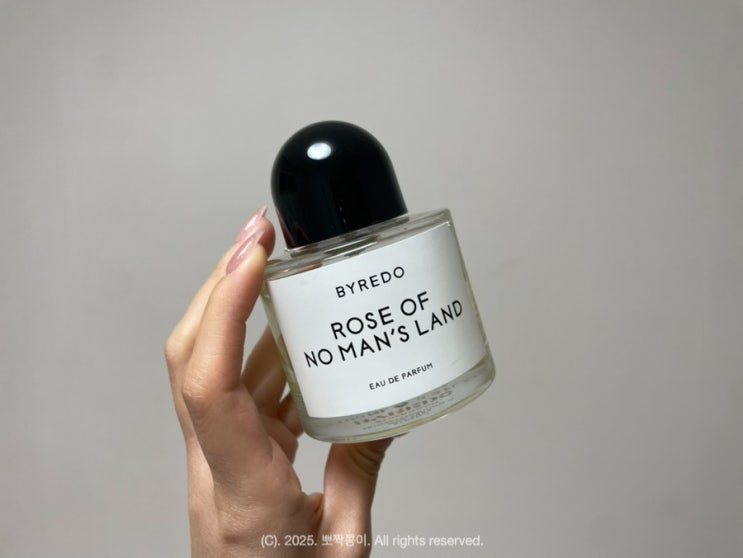  30대 여자 명품 향수 추천 바이레도 로즈오브노맨즈 100ml