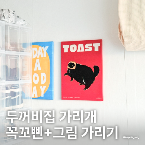  두꺼비집커버 가리개 그림 꼭꼬삔 5000원 이하로 해결