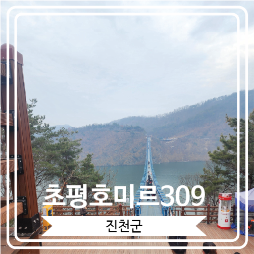  [초평호미르309] 충북 진천군이 자랑하는 국내 최장 길이의 출렁다리