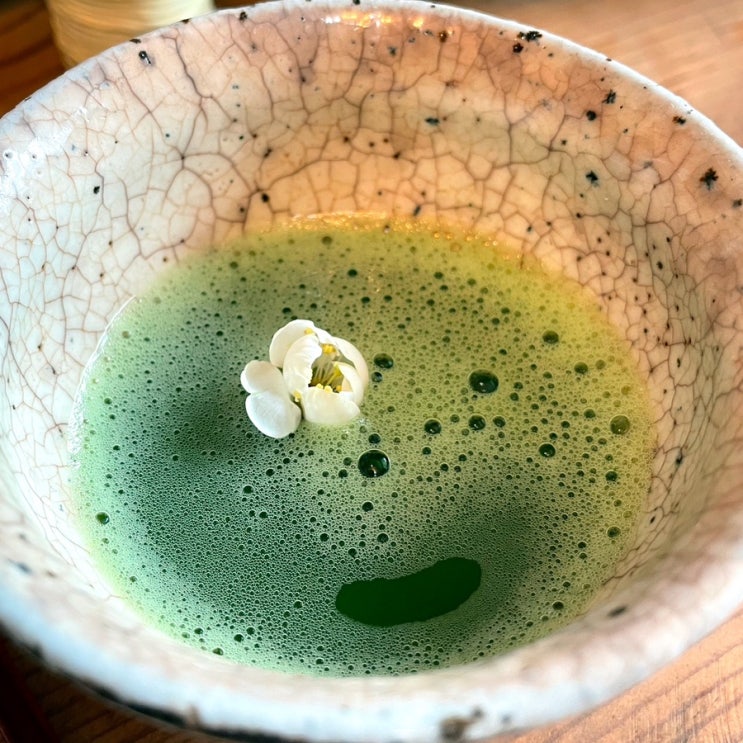  말차_250509