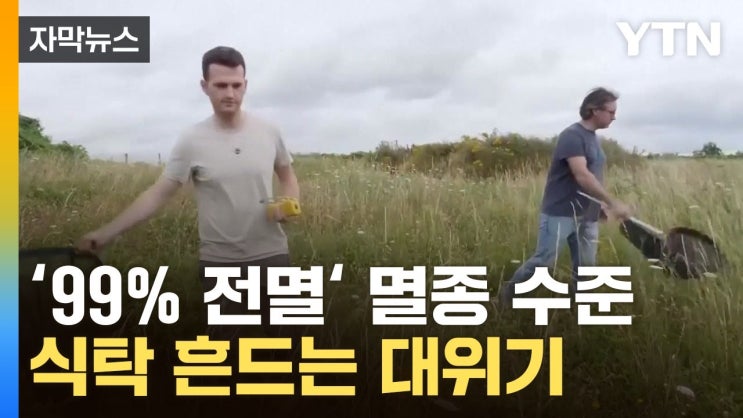 미국 전역서 전멸 수준...인류에까지 충격파 예고 미국 전역서 전멸 수준...인류에까지 충격파 예고