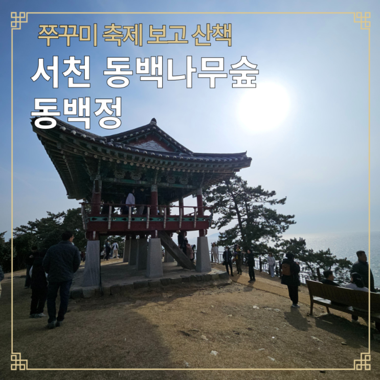  서천 동백나무숲 동백정 쭈꾸미축제 보고 산책하기