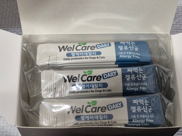  강아지유산균으로 장 건강 챙겨요! 노령견 필수템 웰케어데일리
