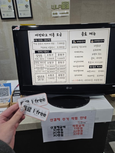 사진 15