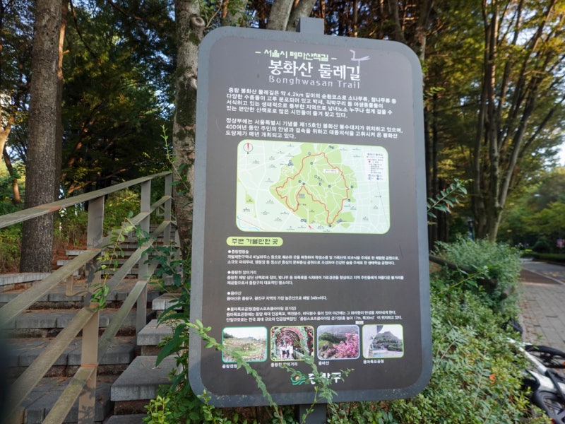 사진 6