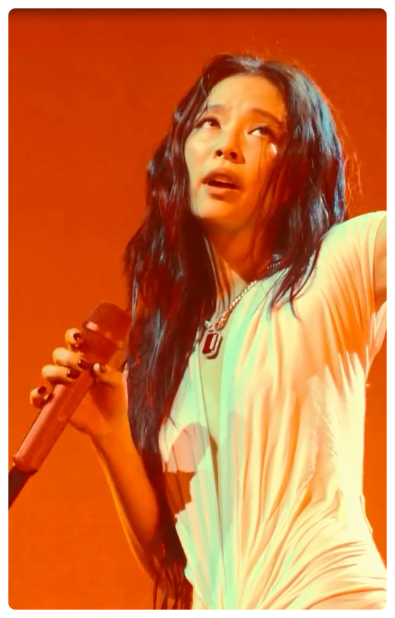 BLACKPINK Jennie's Bold and Revealing Outfit at LA Concert: Instagram Bralette and Waistline