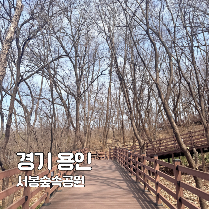 용인 수지 산책하기 좋은 곳 상현동 서봉숲속공원