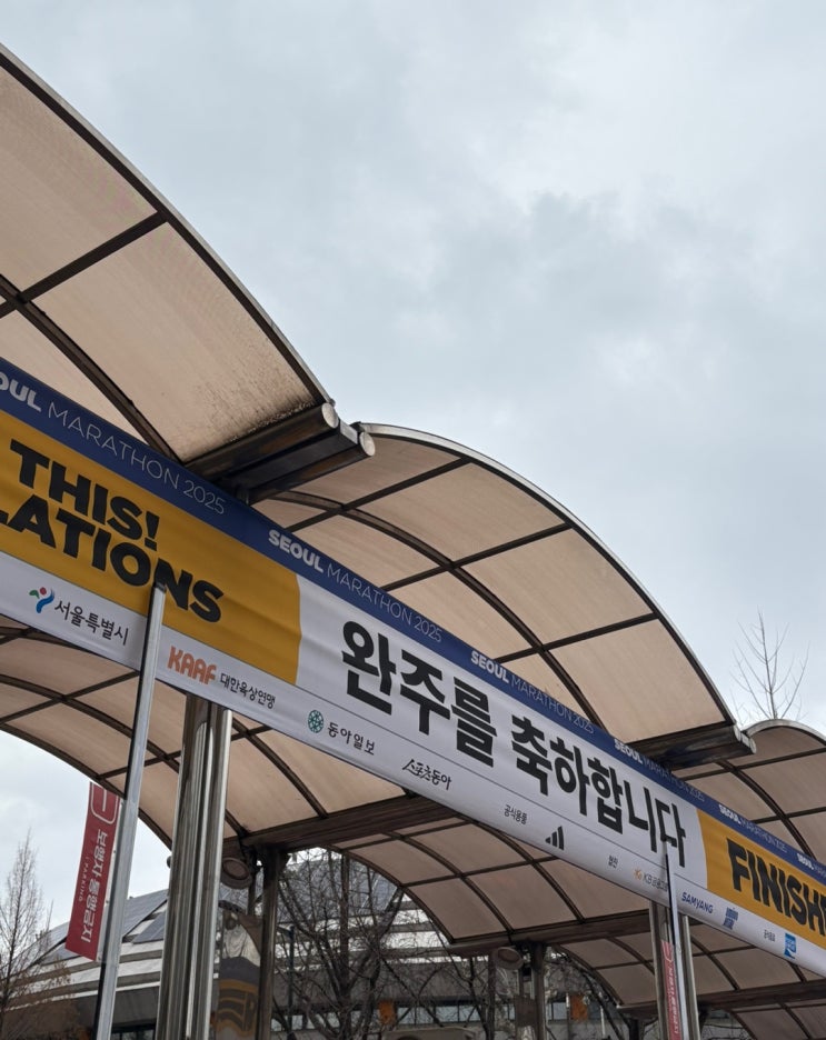 <b>2025 서울마라톤</b> 동아마라톤 10km 후기, 신기록