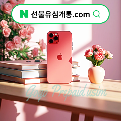  선불유심 개통 필수 준비물 정리️