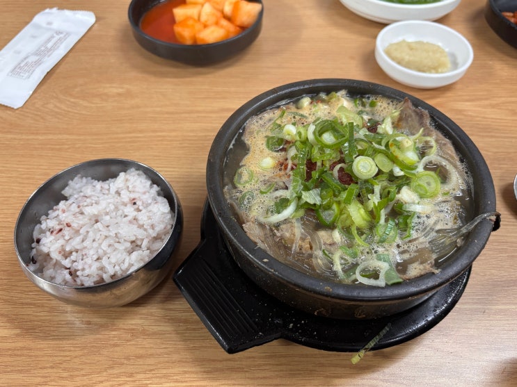  제주 해장국 맛집: 제주도 은희네 해장국, 소고기 해장국 후기