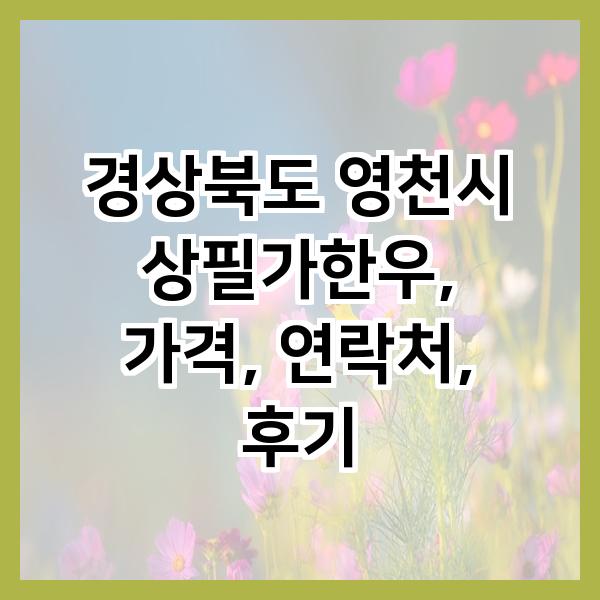 상필가한우 사진 1