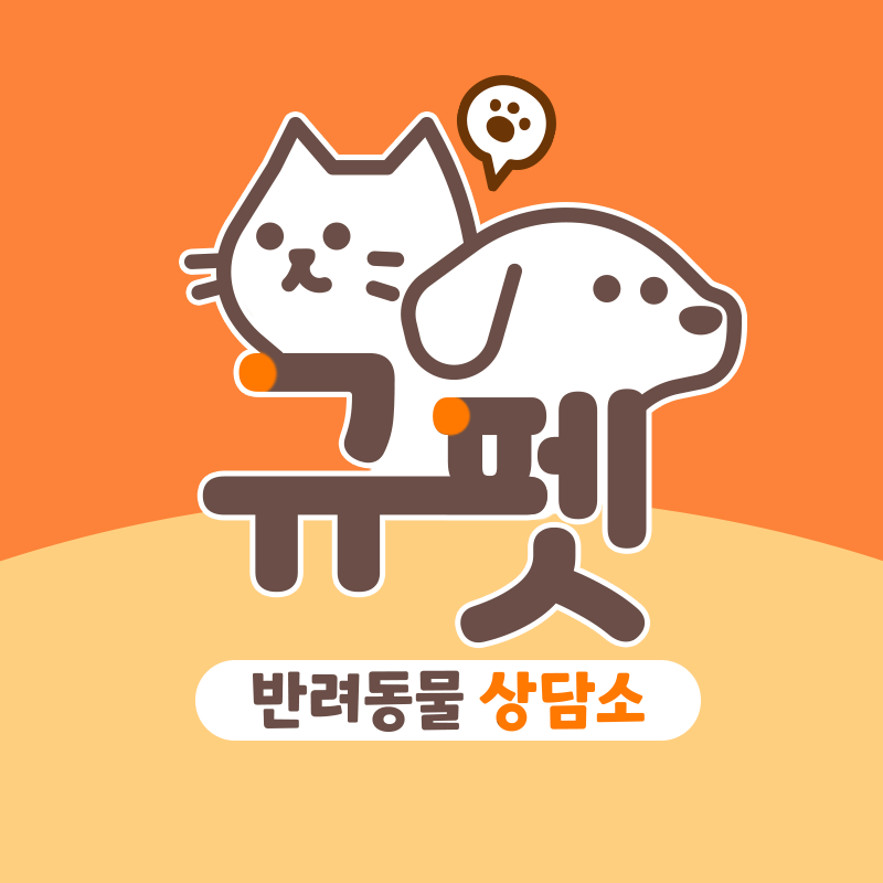 사진 3